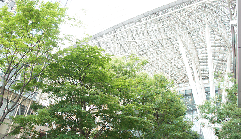 必威平台注册会员注册 この後は両チームとも1トライずつ挙げ、39-19で天理大学が一回戦を勝ち進んだ